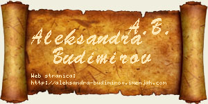 Aleksandra Budimirov vizit kartica